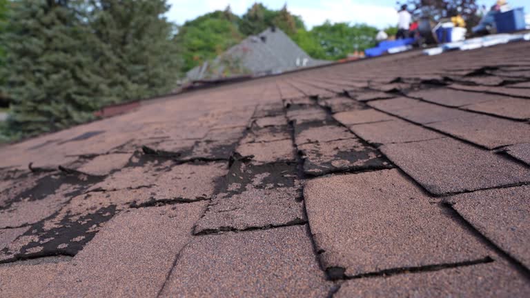 Best 4 Ply Roofing  in Big Bear City, CA