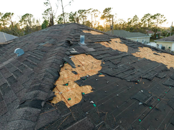 Best Asphalt Shingle Roofing  in Big Bear City, CA